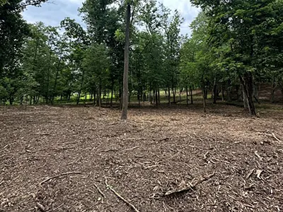 Forest Mulching, Spring City, PA, Clearwater, FL