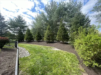Landscaping Services, Malvern, PA