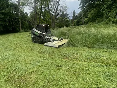 Land Clearing, Chester Springs, PA